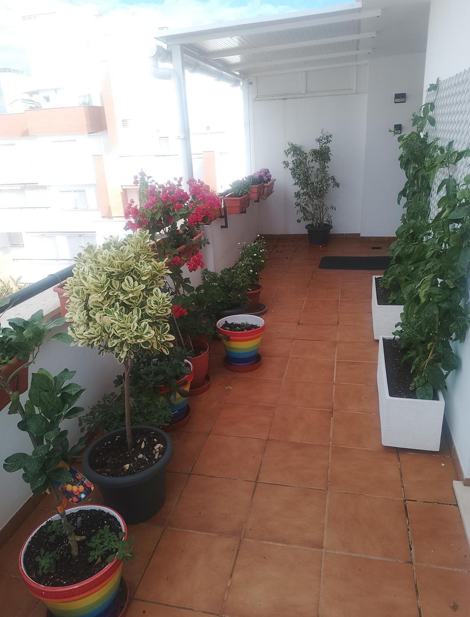 Golf, Piscina,Playa Apartment Roquetas de Mar Ngoại thất bức ảnh
