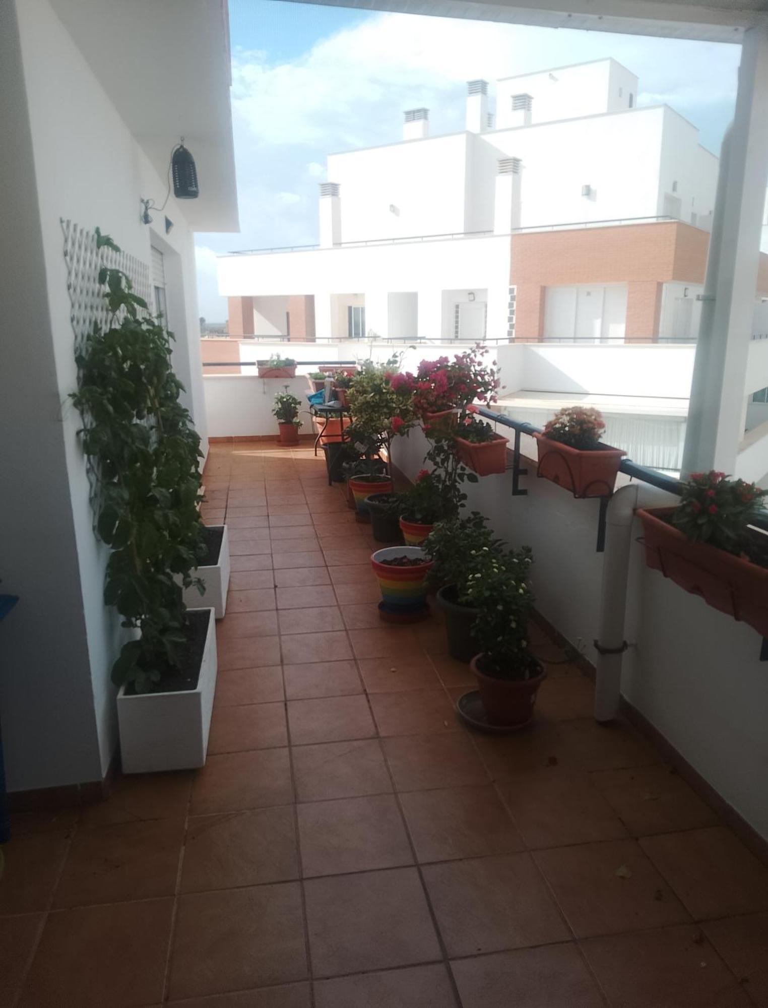 Golf, Piscina,Playa Apartment Roquetas de Mar Ngoại thất bức ảnh